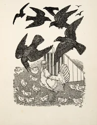Un corbeau calculateur, de Cent anecdotes d