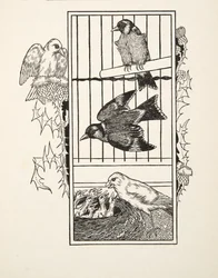 Un canari charitable, de Cent anecdotes d
