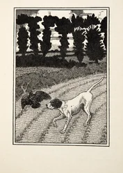 Tromper le chasseur, de Cent anecdotes d