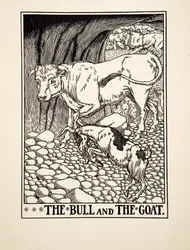Le Taureau et la Chèvre, de Cent Fables d