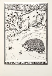 Le Renard, les Mouches et le Hérisson, des Fables de Fontaine, pub. 1905