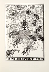 Les Frelons et les Abeilles, des Fables de Fontaine, pub. 1905 (gravure)