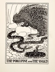 Le Porc-épic et les Serpents, de Cent Fables d