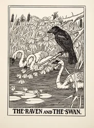Le Corbeau et le Cygne, de Cent Fables d