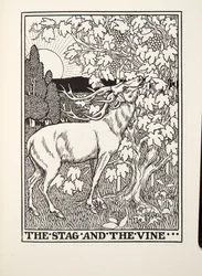 Le Cerf et la Vigne, des Fables de Fontaine, pub. 1905