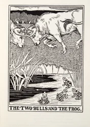 Les Deux Taureaux et la Grenouille, des Fables de La Fontaine, pub. 1905