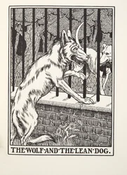 Le loup et le chien maigre, des Fables de Fontaine, pub. 1905