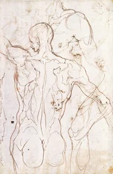 Un nu vu de dos, regardant vers la gauche, et autres études de son épaule gauche et de sa jambe droite