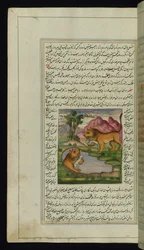 Un lion maléfique, trompé par un lièvre, regarde dans un puits et voit son reflet des Lumières de Canopus