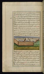 Deux pigeons et une réserve de grains des Lumières de Canopus