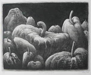 Citrouilles, courges et potirons