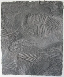 Signes de vie XVI