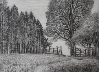 Le sentier de la forêt - Printemps