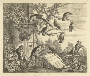 Perroquets et petits singes près d