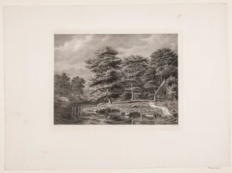 Rivière entre des rives boisées