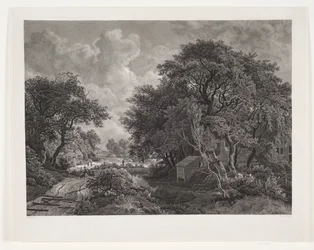 Chemin à travers un village avec de grands arbres