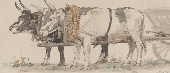 Deux bœufs tirant une charrette