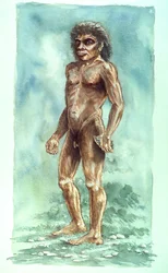 Homme de Boxgrove, préhistorique, 1990-2010