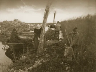 Pendant la récolte des roseaux, Vie et paysage sur les Norfolk Broads, vers 1886