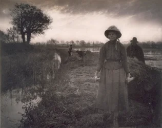 Transport du foin des marais, Vie et paysage sur les Norfolk Broads, 1886