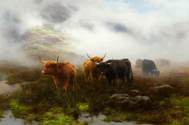 Landes et brume