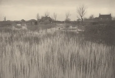 Une rive jonchée