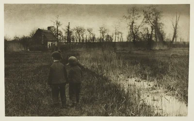 Un crapaud sur le chemin : Début du printemps à Norfolk