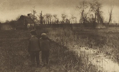 Un crapaud sur le chemin: début du printemps dans le Norfolk