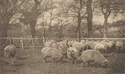 Une pastorale automnale