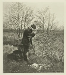 Au coin du couvert (Norfolk)
