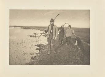 Le retour des marais