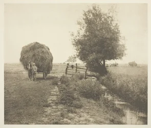 Dans le Haysel (Norfolk)