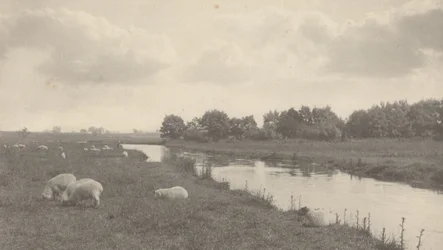 Sur la Bure, 1886 (photo)
