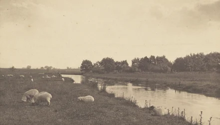 Sur la Bure