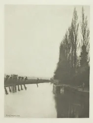 Peupliers et têtards sur la Lea, près de Broxbourne