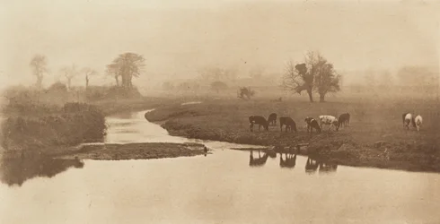 Moutons dans les marais [Paysage avec du bétail], 1890-1891, imprimé en 1893