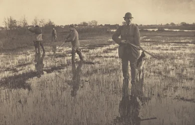 Chasse à la bécassine