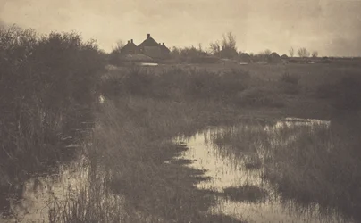 La lisière du marais