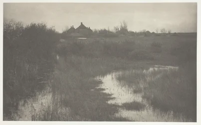 La lisière du marais