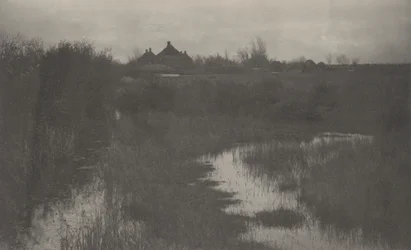 La frange du marais