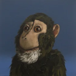 Singe Andy