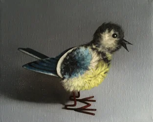 Mésange bleue