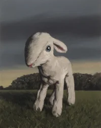 Agneau