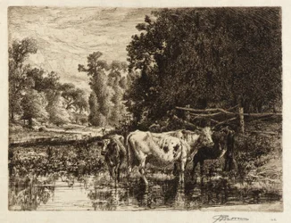 (Sur le Neshaminy)