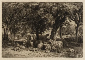 (Moutons dans un verger)