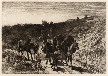 A Burro Train, Nouveau Mexique