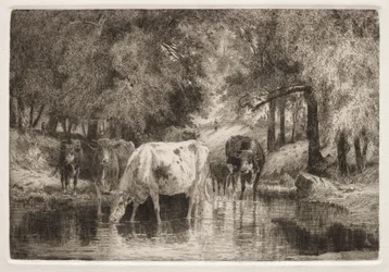 La piscine