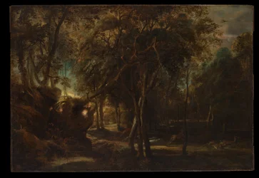 Une forêt à l