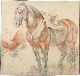 Cheval sellé