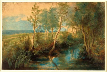 Paysage avec ruisseau sous les arbres